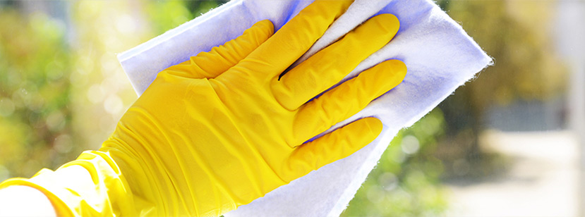 Internal Window Cleaning